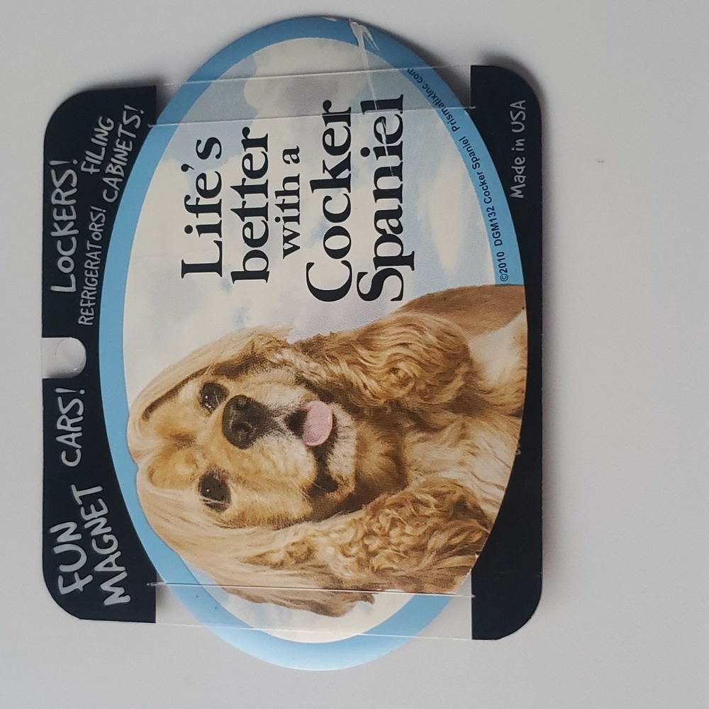 FUN MAGNET PET DECALS